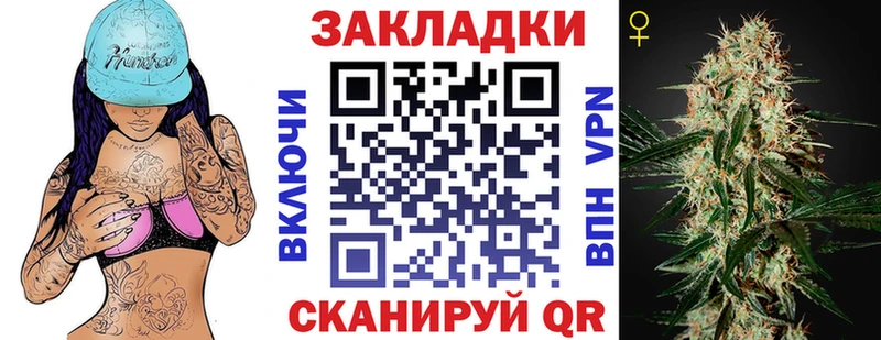 МЕФ Курчатов