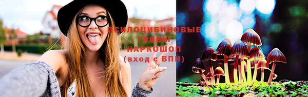 тгк Алексеевка