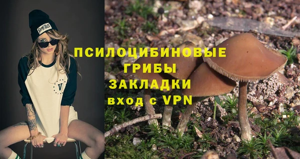 не бодяженный Алексин