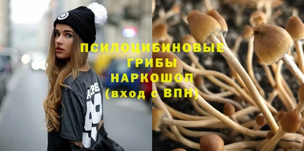 а пвп мука Алзамай