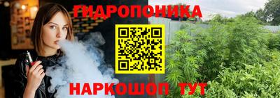 спайс Гатчина