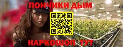 spice Гай
