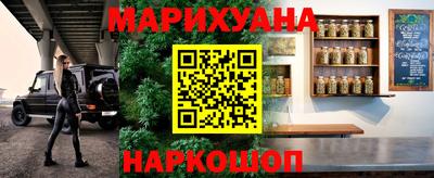 spice Гай