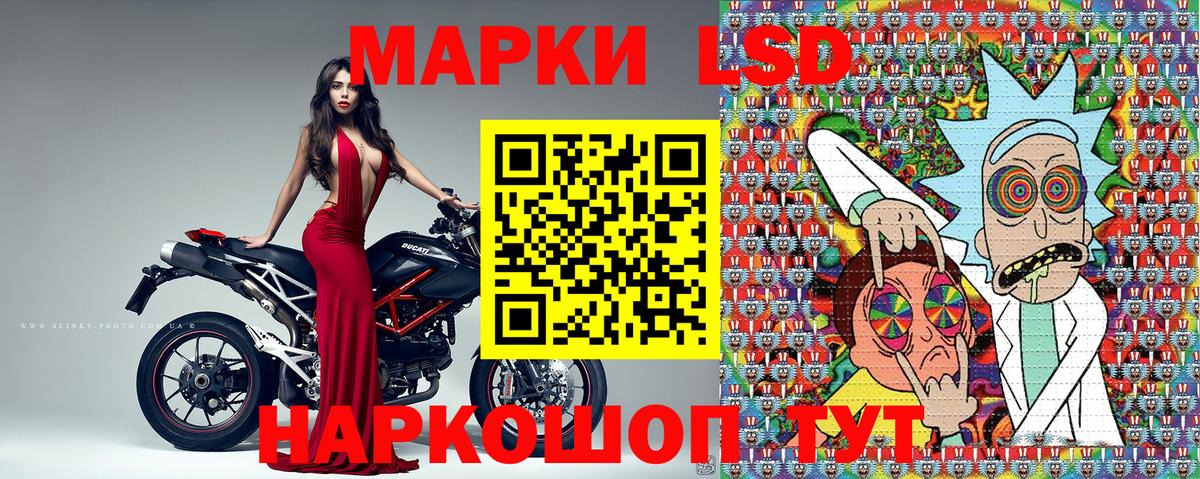 где купить наркоту  Вход с VPN  Курчатов  Марки N-bome 1500мкг  Марки N-bome 1500мкг 