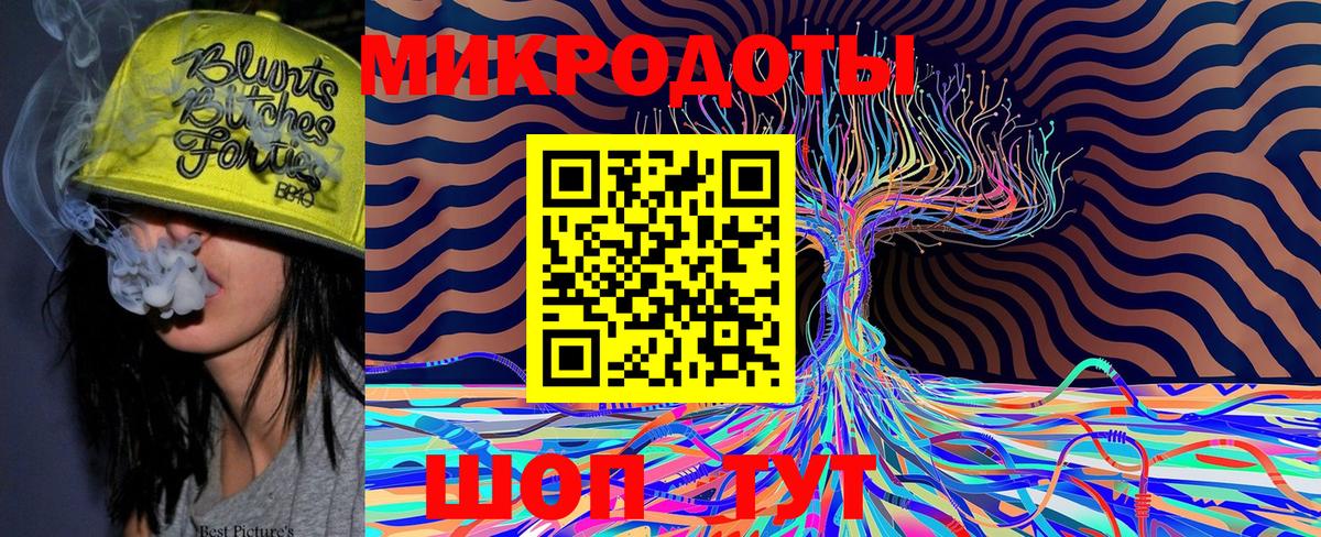 Курчатов  Псилоцибиновые грибы Magic Shrooms  Вход с VPN 