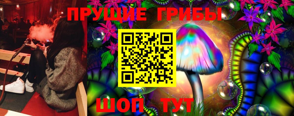 Галлюциногенные грибы MAGIC MUSHROOMS Курчатов